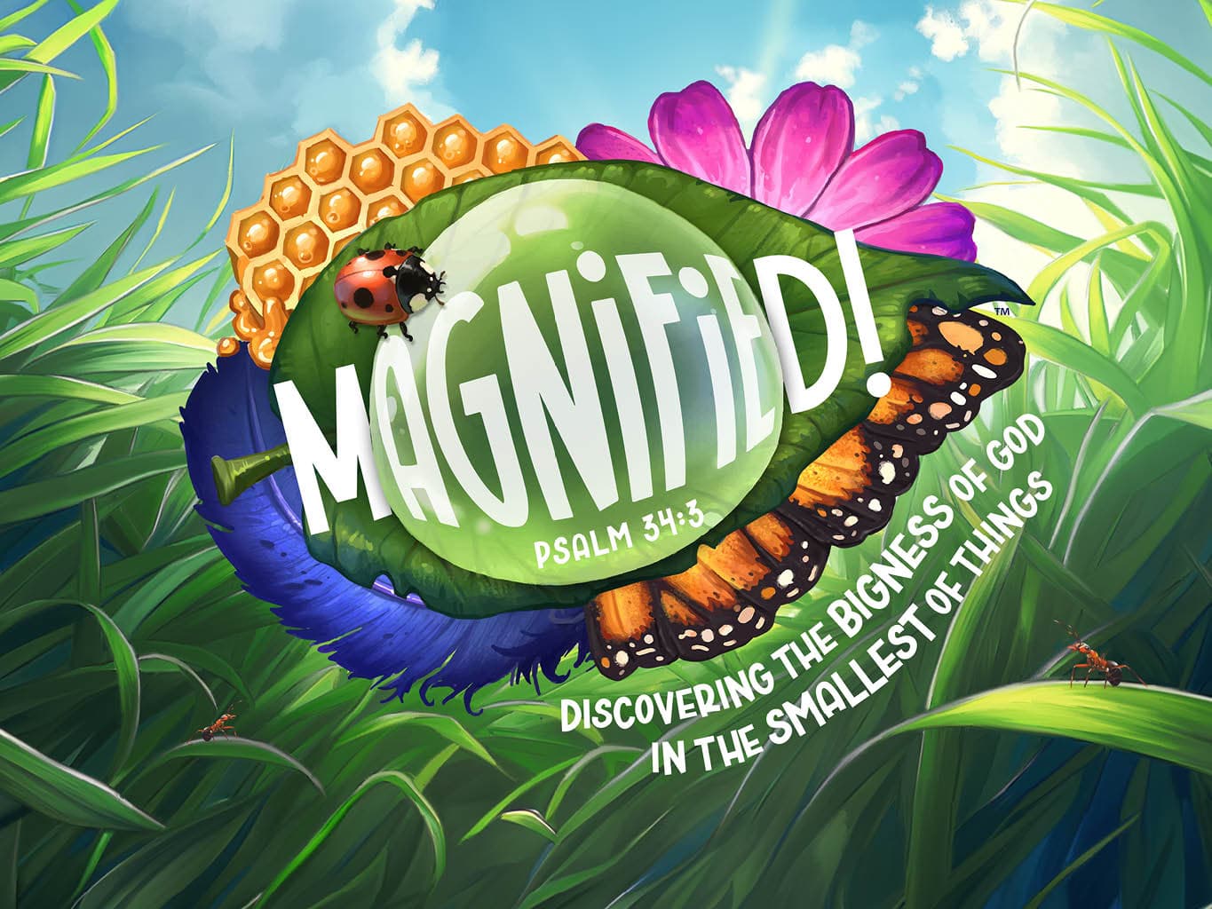 Vacation Bible School Form Link
